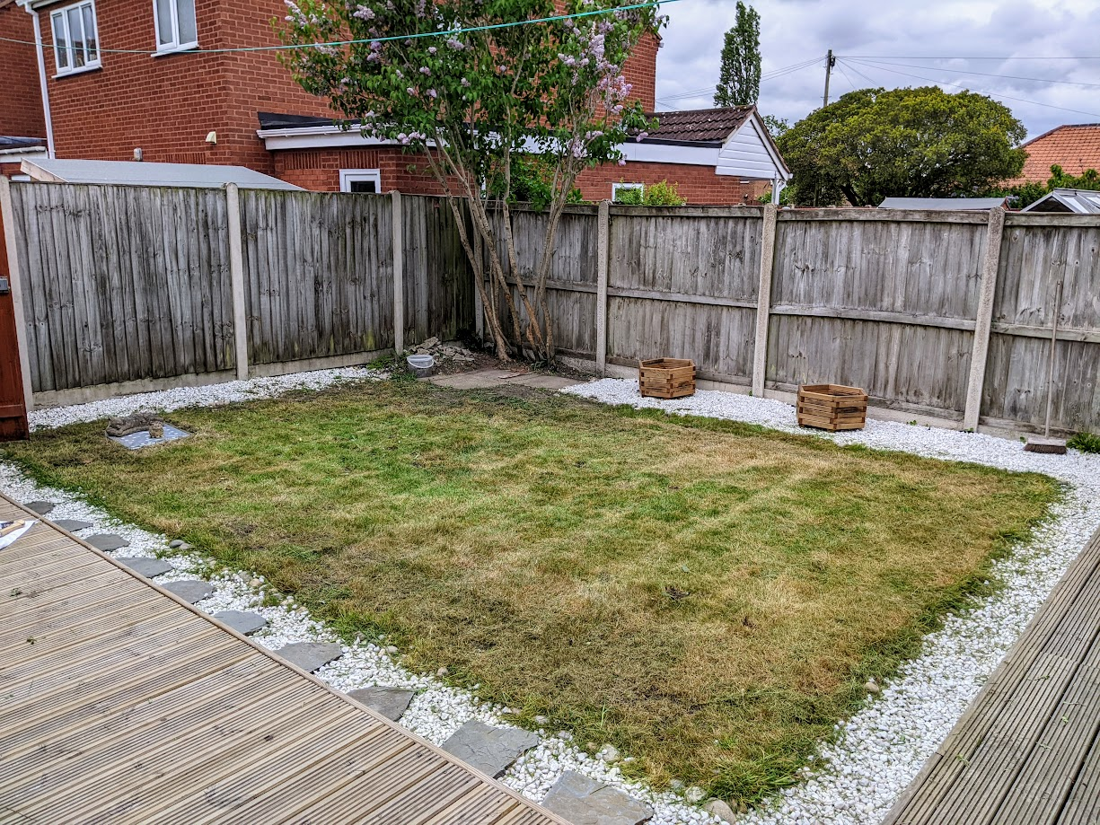 Lawn Restoration - after